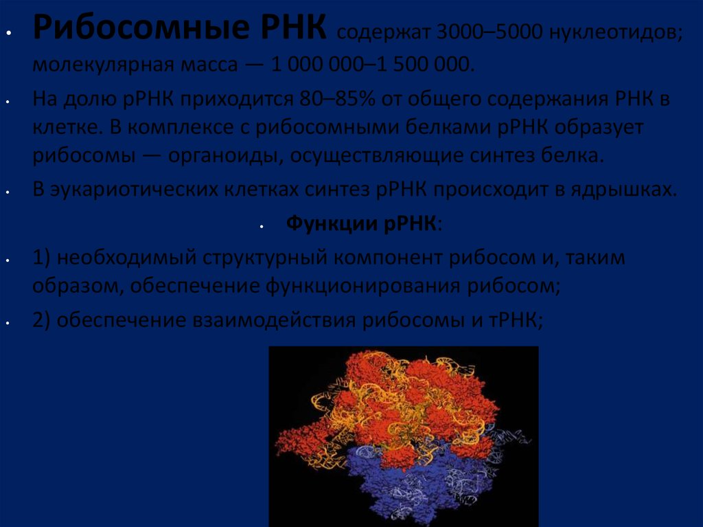 Эритропоэтин функции