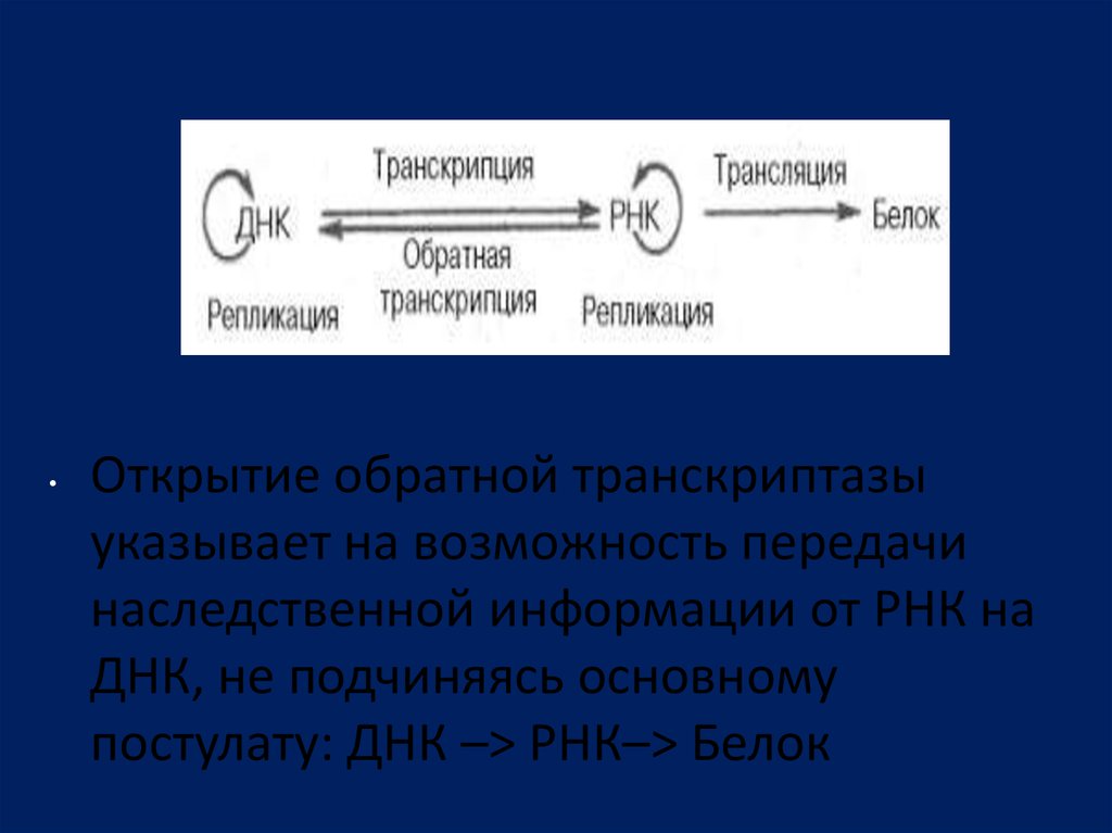 Молекулярные процессы расщепления. Молекулярные процессы.