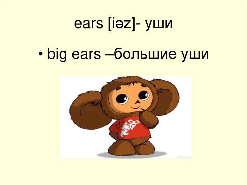 С русского на английский уши. Большие уши по английскому. У кого большие уши по английски. Уши на английском языке. Маленькие уши по английскому.