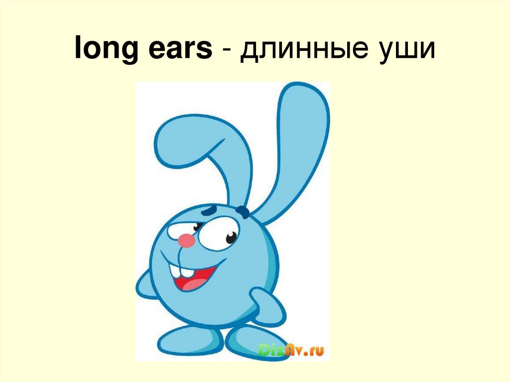 Длинные ушки. Long Ears. Английский для детей у него длинные уши. Задание у кого самые длинные уши. Как по английски у него длинные уши.