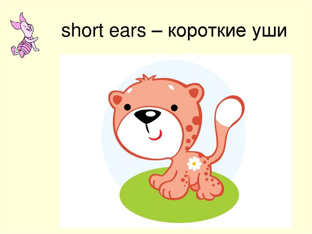 Короткие уши. Short Ears.