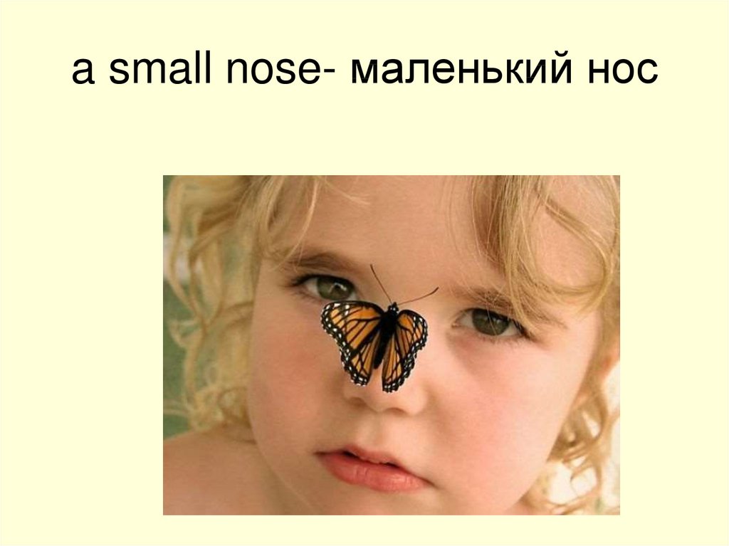 Внешность 2 класс. Small nose. Small nose чтение. Как по английски маленький нос. Носик маленького Кристи.