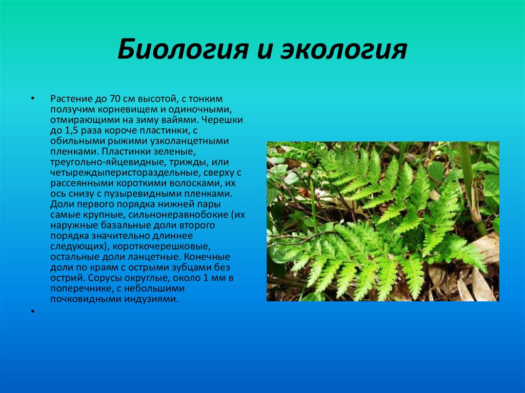 Биология и экология