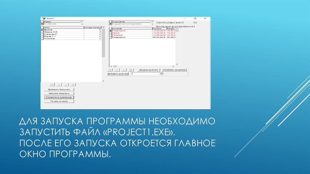 Для запуска программы необходимо запустить файл «Project1.exe». После его запуска откроется главное окно программы.