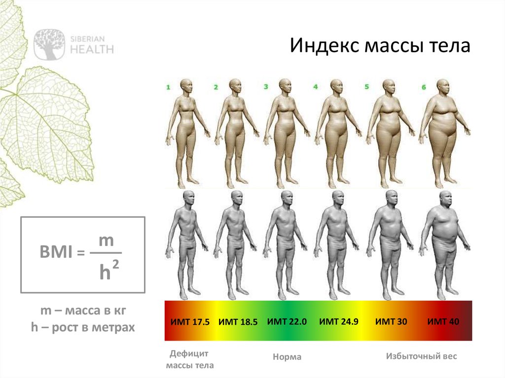 Индекс массы тела картинки