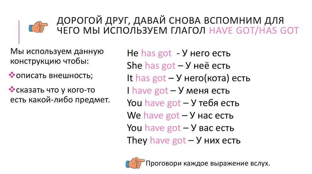 Have got has got презентация 3 класс