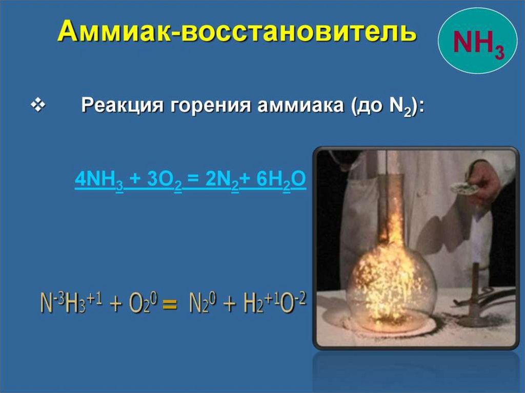Уравнение горения аммиака. Горение аммиака реакция. Реакции с аммиаком. Горение аммиака в кислороде. Реакция горения аммиака в кислороде.