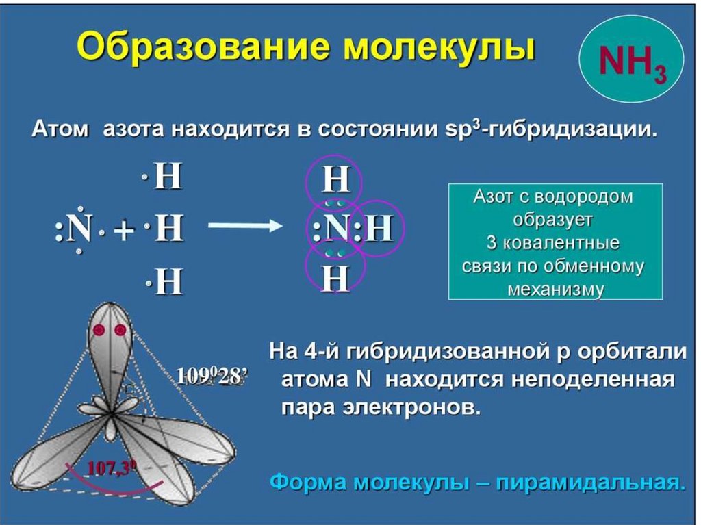 Тип гибридизации sp3. Тип гибридизации в молекуле nh3. Sp3 гибридизация nh3. ) Гибридизация атомных орбиталей азота – sp3. Nh3 Тип гибридизации центрального атома.