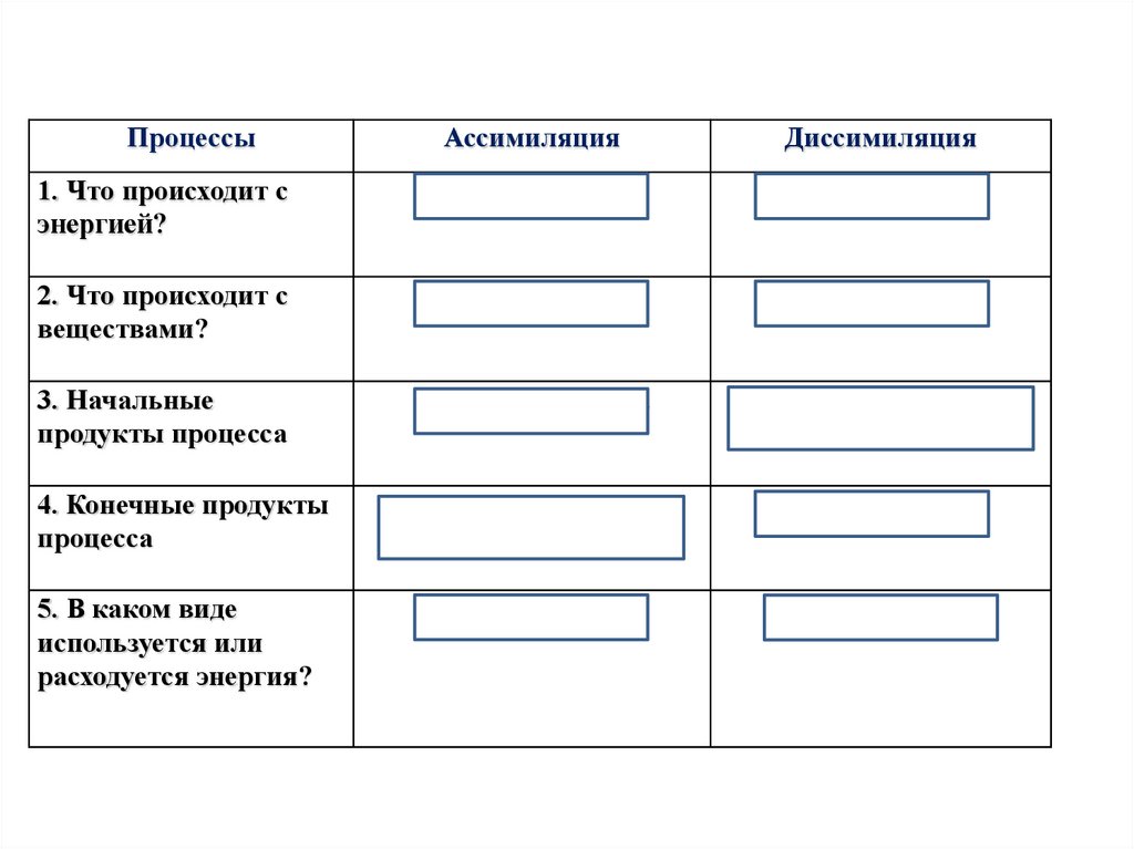 Начальные продукты процесса. Начальные продукты процесса ассимиляции и диссимиляции. Ассимиляция что происходит с энергией. Что происходит с веществами ассимиляция диссимиляция. В каком виде используется или расходуется энергия в ассимиляции.