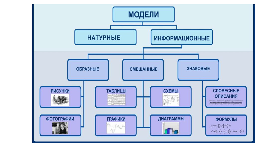 Пример графической модели материальная модель диаграмма макет