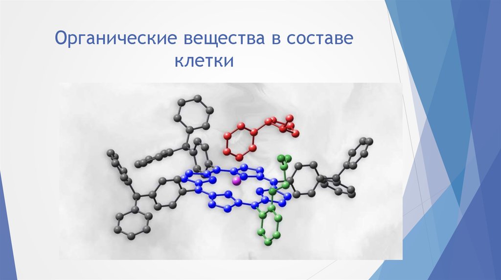 Химические вещества биология. Органические вещества клетки. Органические соединения клетки. Органические соединения в составе клетки. Органические вещества в составе клетки.