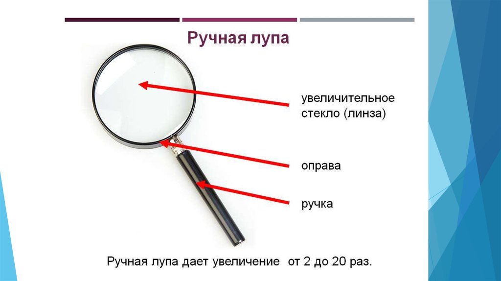 Рассмотрите изображение лупы рис 1 что обозначено на рисунке буквой б