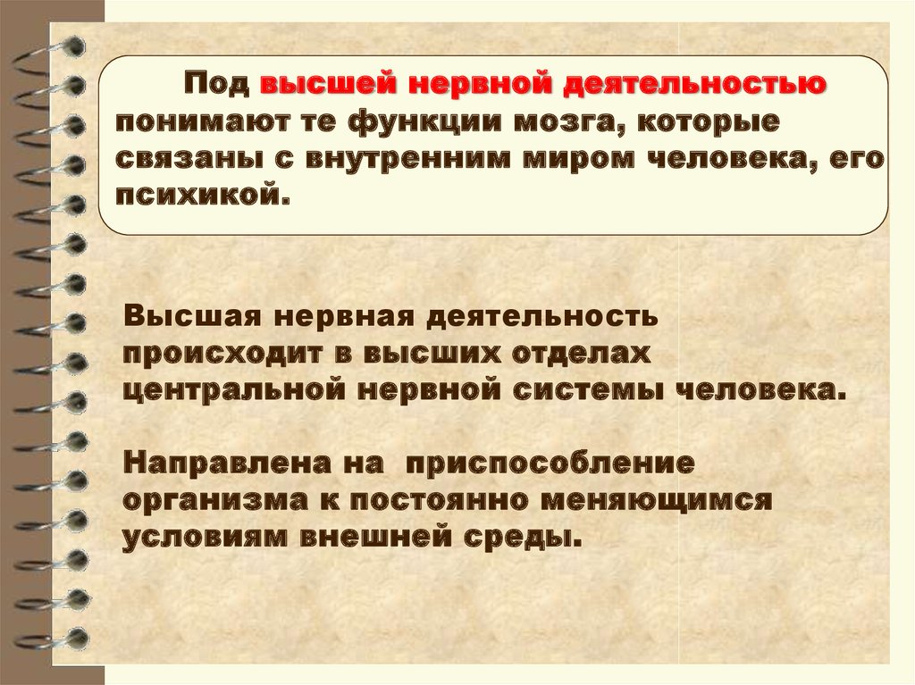 Вклад отечественных ученых в разработку учения о высшей нервной деятельности презентация