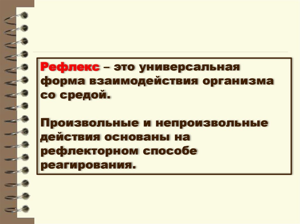 Вклад отечественных ученых в разработку учения о высшей нервной деятельности презентация