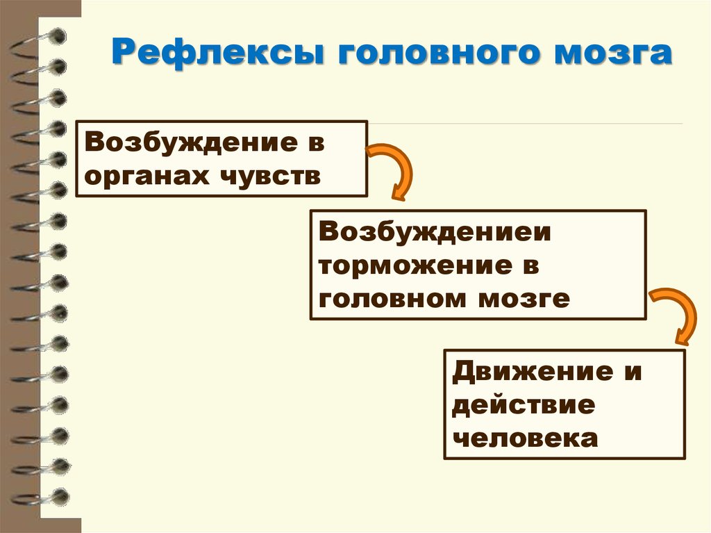 Передача и прием на расстоянии речи или других звуковых сигналов изображений называется