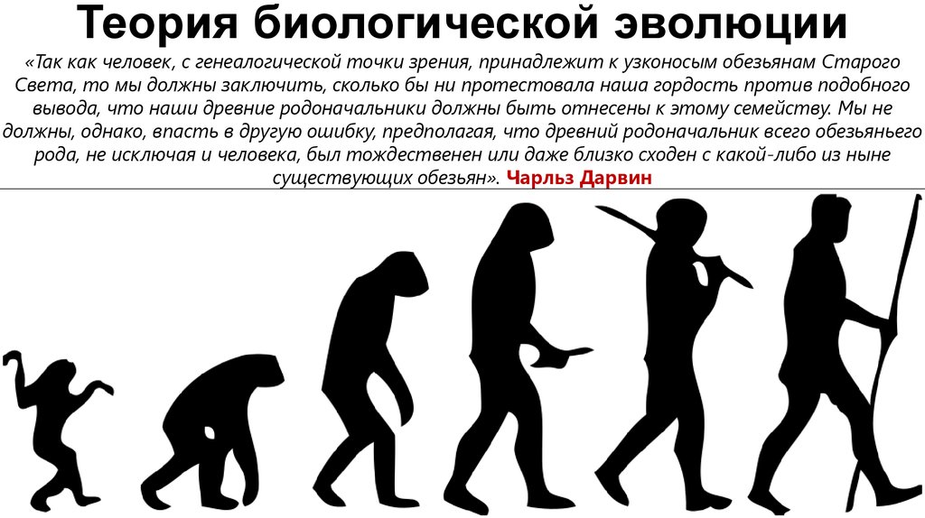 Теория развития человека. Биологическая теория. Теория биологической эволюции. Теория эволюции в биологии. Эволюция с точки зрения.