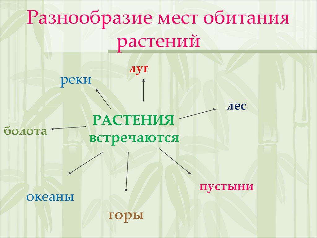 Технологическая карта урока 3 класс разнообразие растений