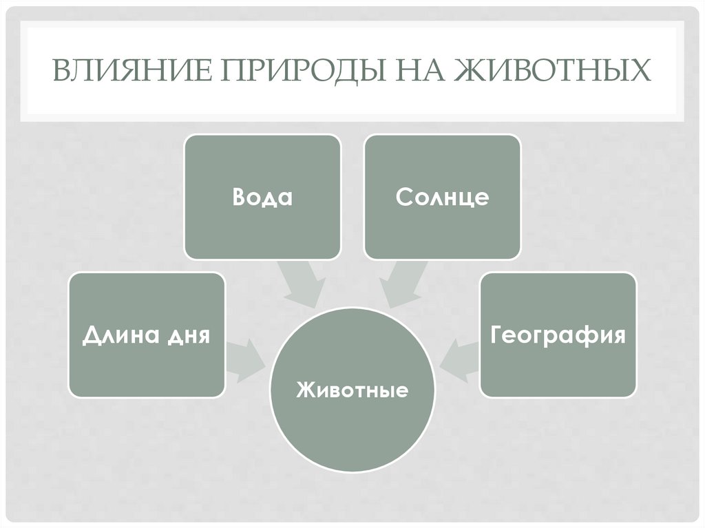 Природа влияет на. Влияние природы на животных. Влияние природы на животных 5 класс. Влияние природы на животных биология 5. Влияние природы на животных кратко.