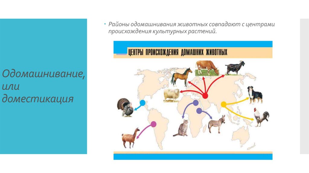 Центры одомашнивания животных карта