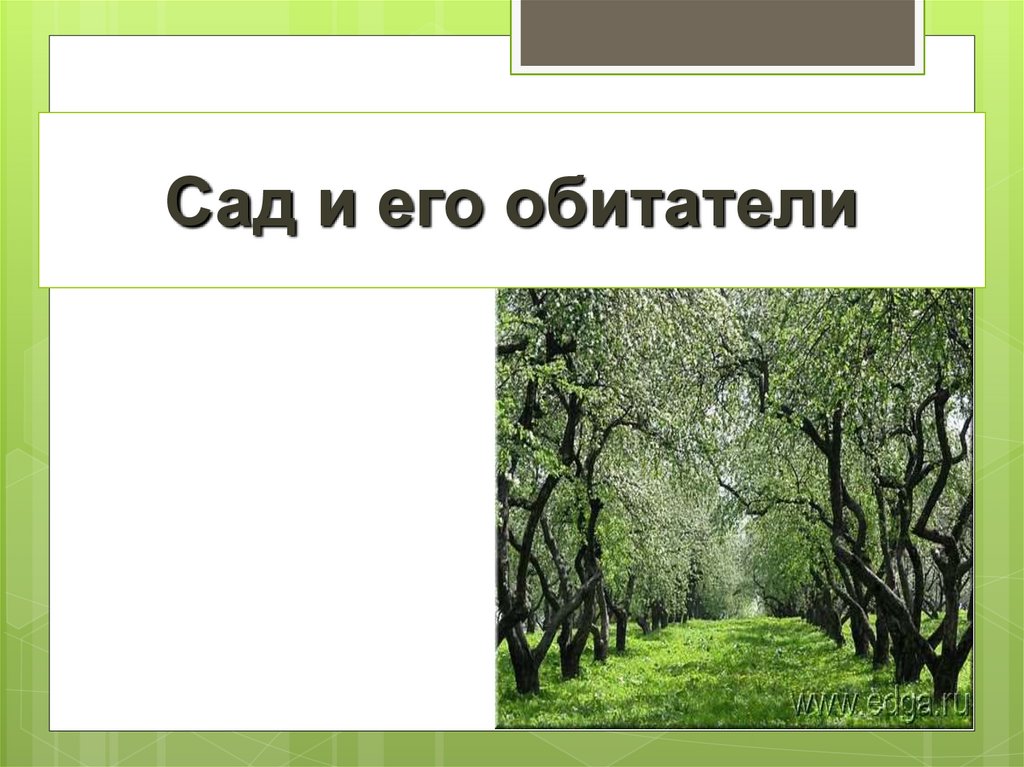 Презентация природное сообщество сад 3 класс