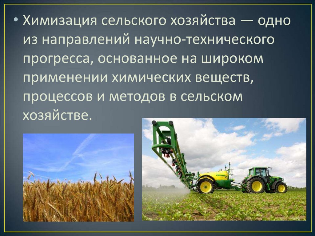 Направление сельскохозяйственной деятельности