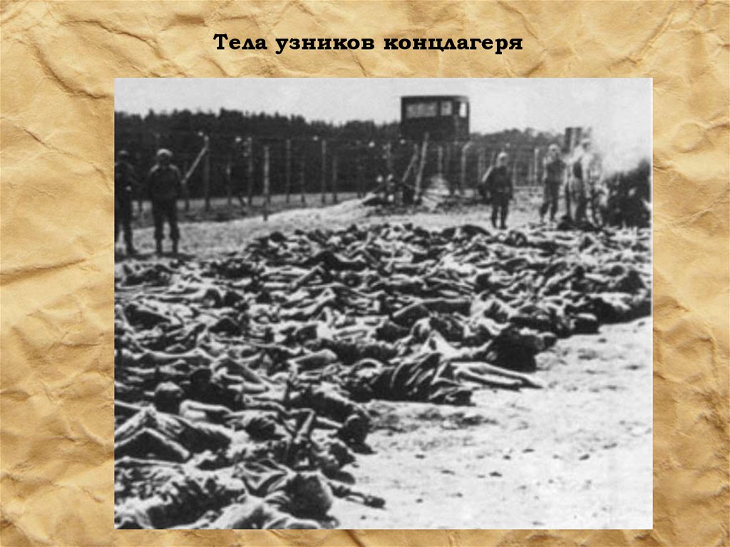 Тела узников концлагеря