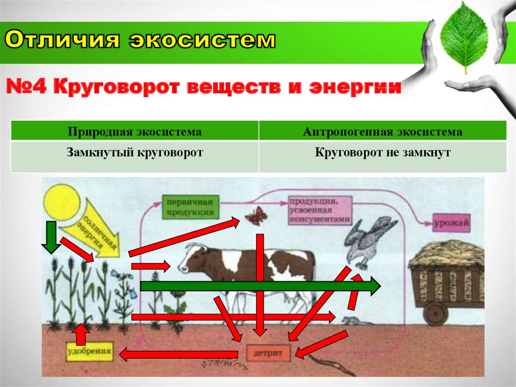 Антропогенные природные ресурсы. Антропогенные экосистемы. Отличие агроэкосистем от природных экосистем.