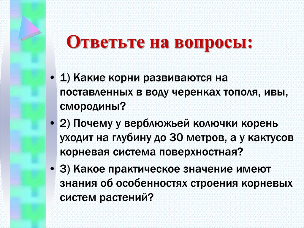 Значение корня 1. Корень развивающиеся на поставленных в воду ветках тополя. На поставленных в воду черенках тополя развиваются. Вывод корневой системы. На поставленных в воду черенках развиваются.