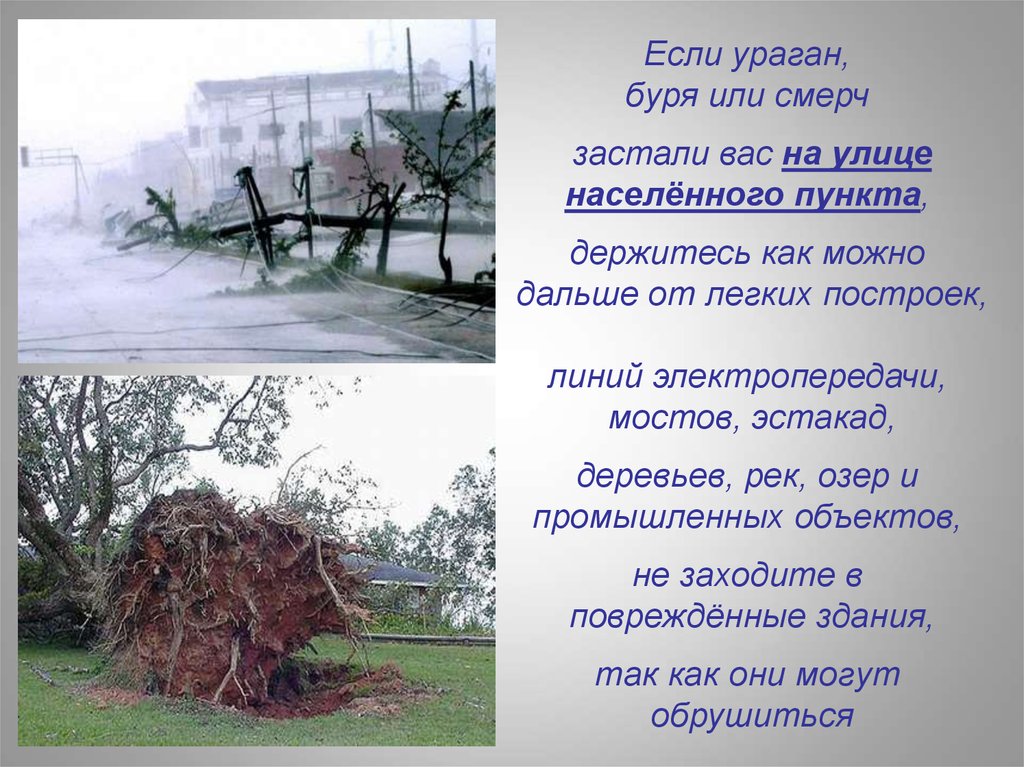 Буря в лесу 2 класс. Если ураган застал вас на улице. Памятка ураганы бури смерчи. Смерч способы защиты. Действия при урагане смерче на улице.