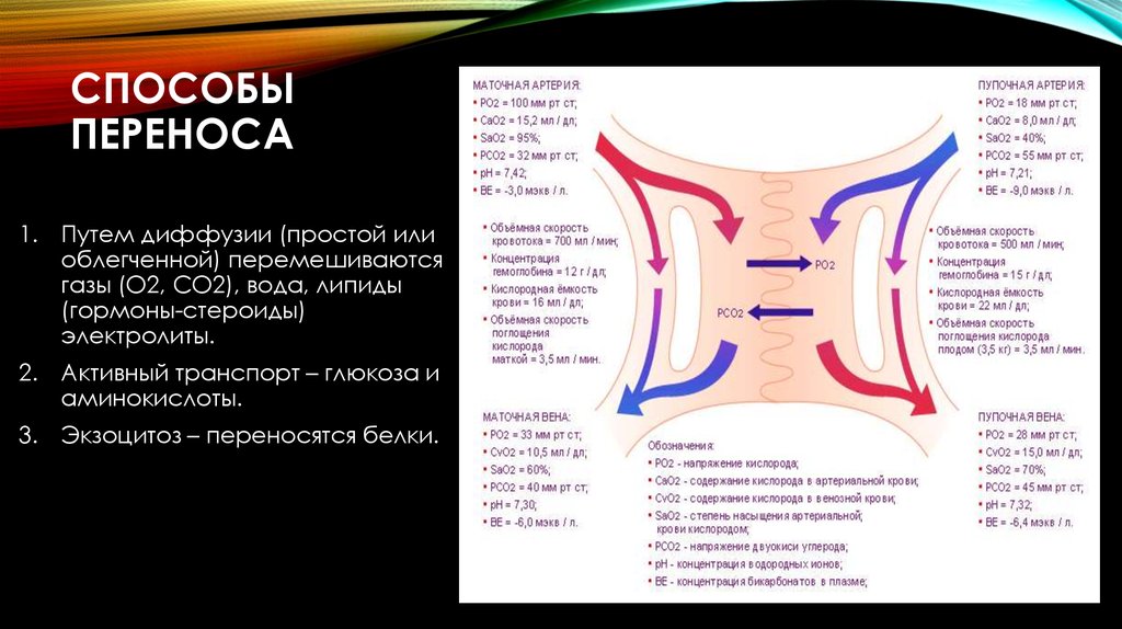 Метод переноса. Способы переноса. Два метода переноса.. Все способы для переноса.