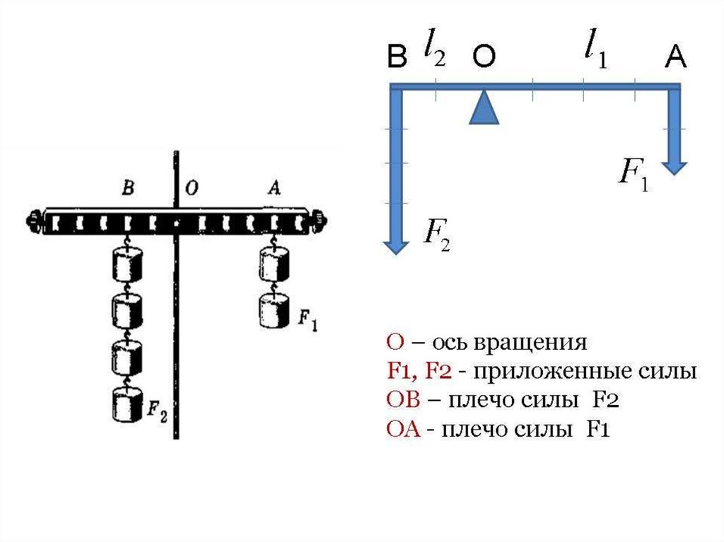 Равновесие сил на рычаге. Равновесие сил на рычаге физика 7. Рычаг физика 7. Рычаг равновесие сил на рычаге. Рычаг физика 7 класс.