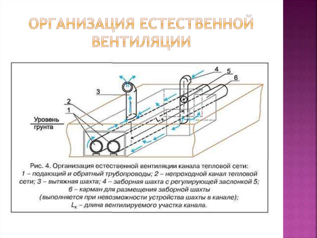 Естественная организация