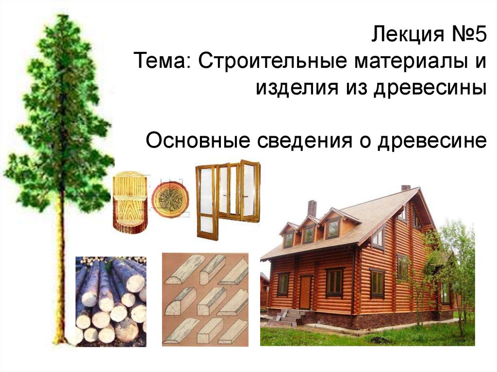 Лекция №5 Тема: Строительные материалы и изделия из древесины Основные сведения о древесине