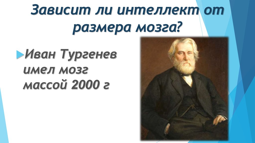 Зависит ли. Зависит ли размер мозга от интеллекта. Зависят ли умственные способности от массы мозга?. Размер мозга и умственные способности. Интеллект зависит.