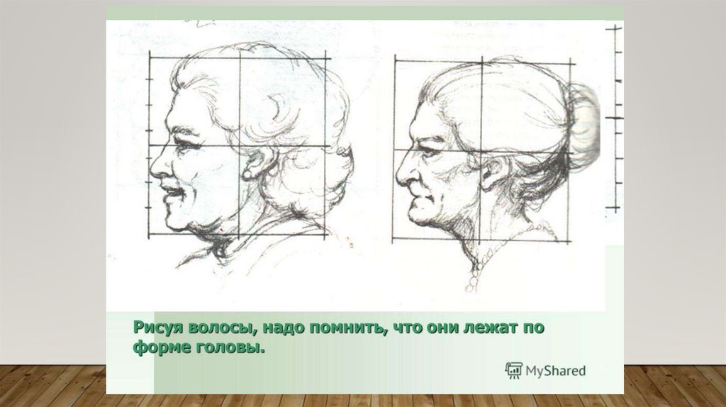 Мудрость старости изо 4 класс. Пропорции лица пожилого человека. Рисование головы человека в профиль. Пропорции головы человека в профиль. Пропорции головы пожилого человека.