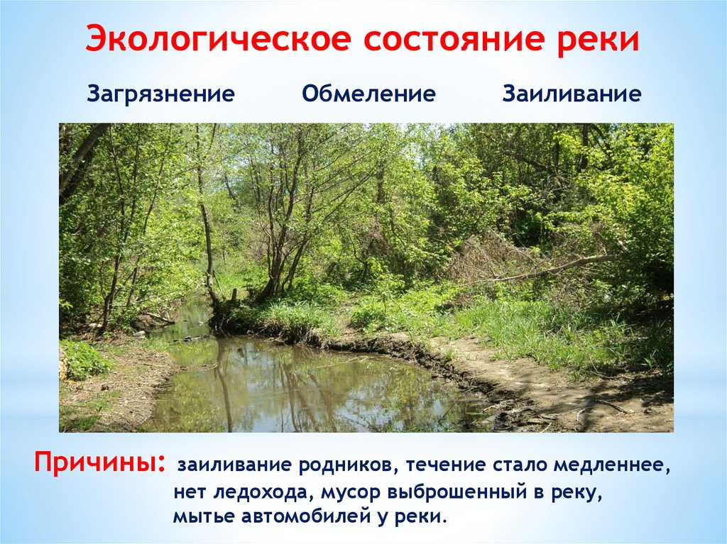 Влияние рек на окружающую среду. Экологическое состояние реки. Проблемы малых рек. Пути решения загрязнения рек.
