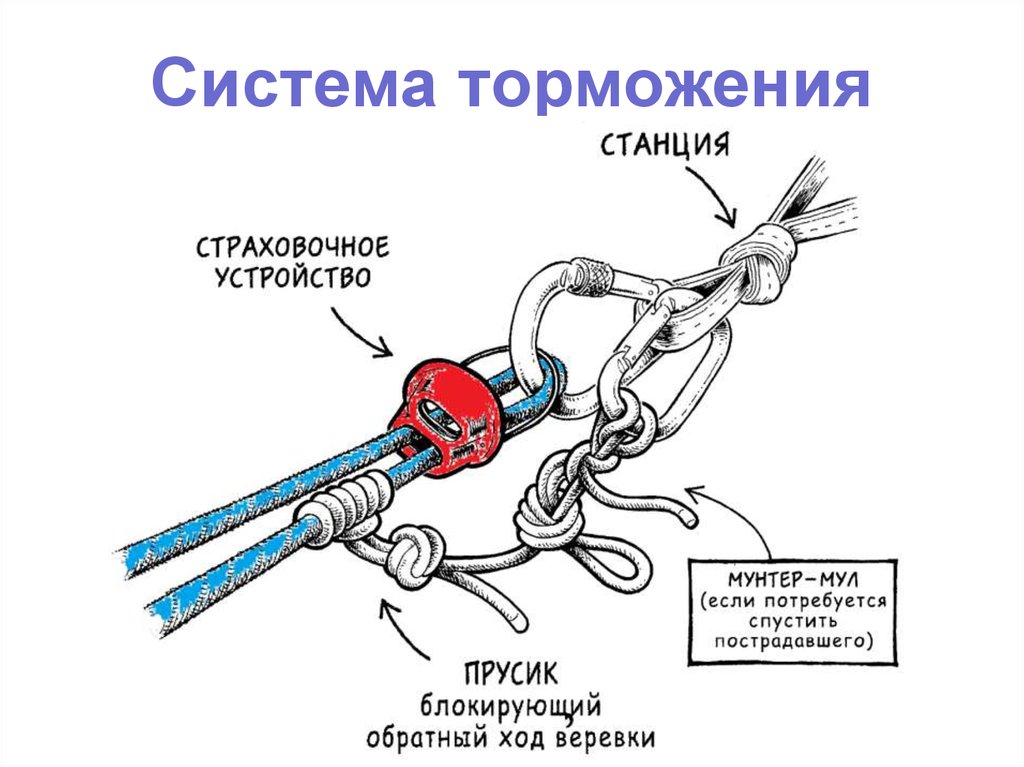 Полиспаст мунтера схема