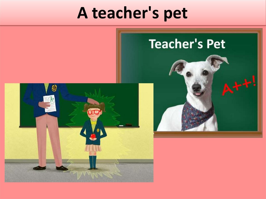 Teacher's pet | Every Word Counts