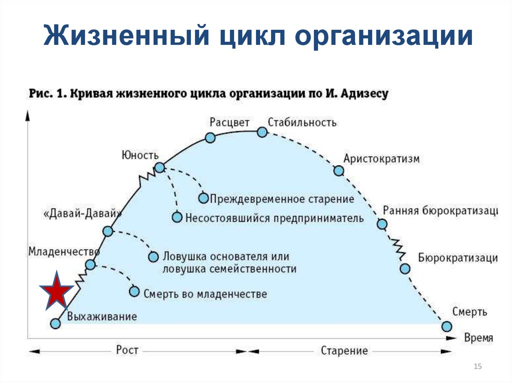 Жизненные стадии компании. Этапы развития организации жизненный цикл организации. Фазы жизненного цикла фирмы. Стадии жизненного цикла организации. Стадия (фаза) жизненного цикла предприятия.