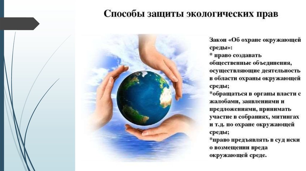 Рассмотрим рисунки что означает право граждан на защиту среды в которой они живут