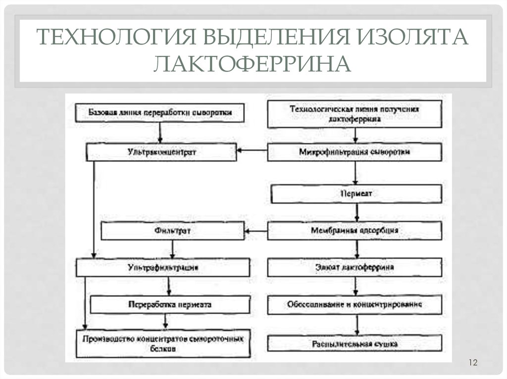 технология выделения изолята лактоферрина