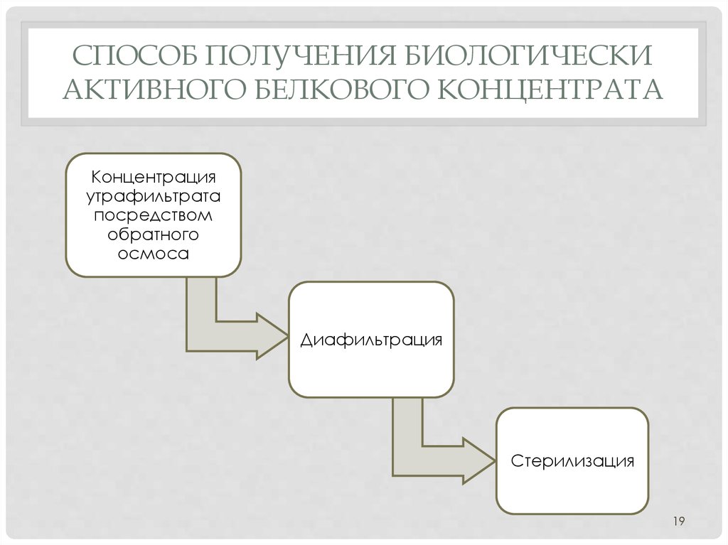 СПОСОБ ПОЛУЧЕНИЯ БИОЛОГИЧЕСКИ АКТИВНОГО БЕЛКОВОГО КОНЦЕНТРАТА