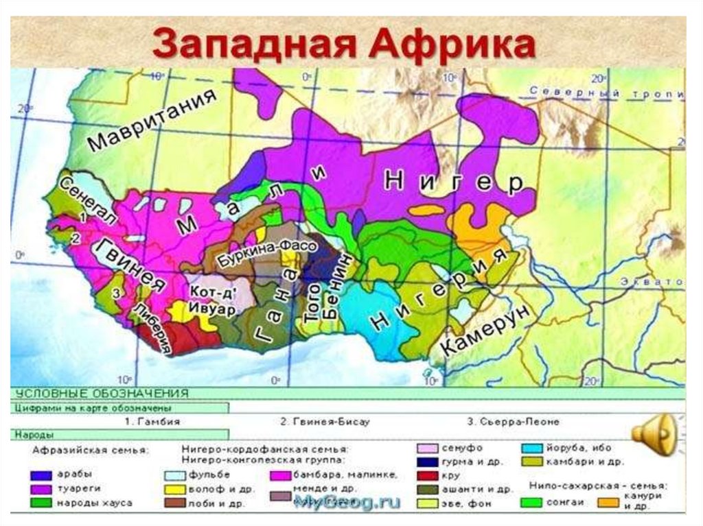 Западная африка население