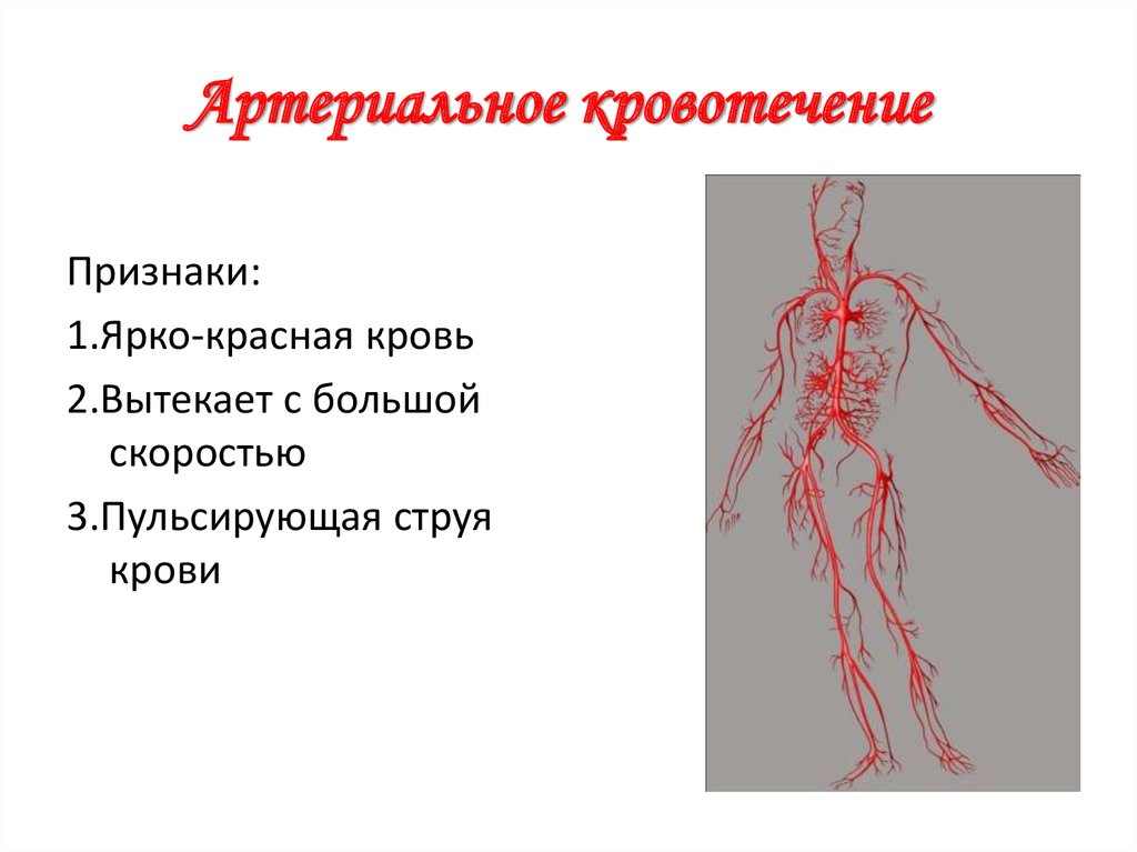 Характеристика кровотечений