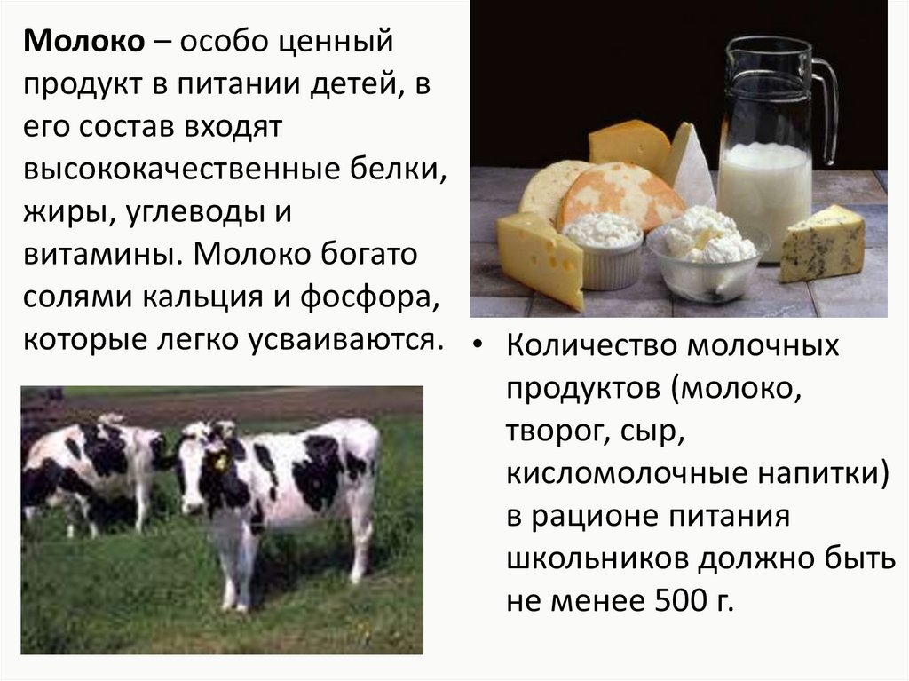 Значение молока. Молочные продукты в рационе питания дошкольников. Молоко и кисломолочные продукты в детском рационе!. Сообщение про молочные продукты. Молоко в рационе человека.