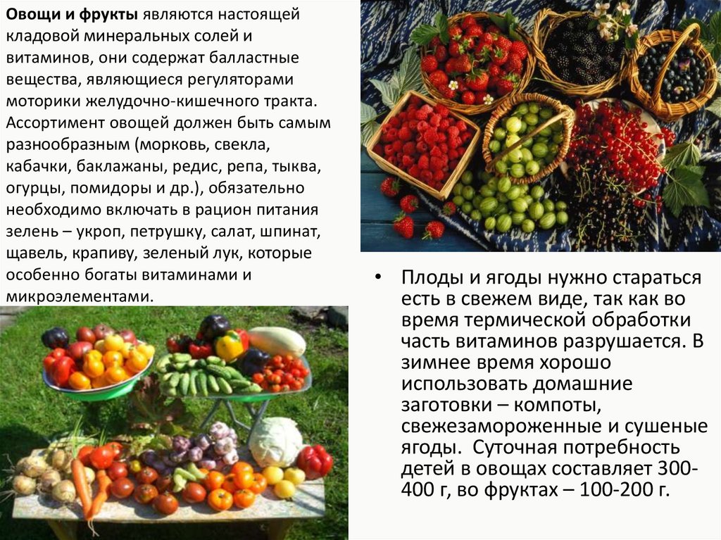 Овощи и фрукты являются источником. Свежих плодов и овощей. Обработка свежих плодов и ягод. Свежие плоды и ягоды. Витамины в ягодах.
