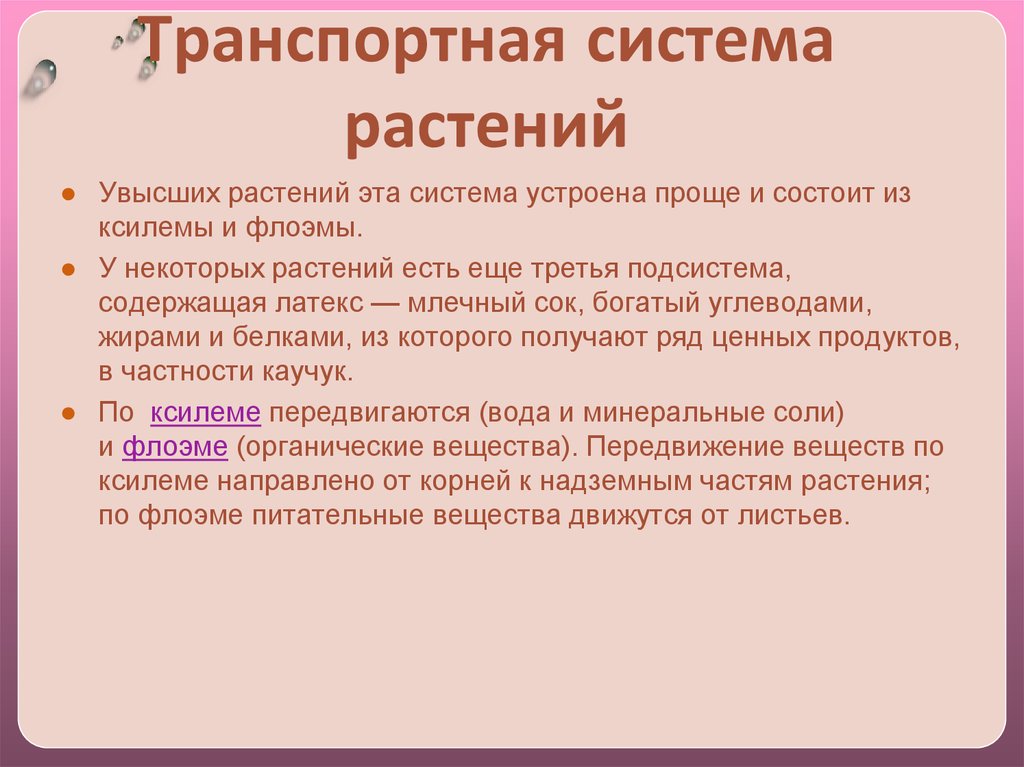 Презентация передвижение веществ у животных 6 класс пасечник