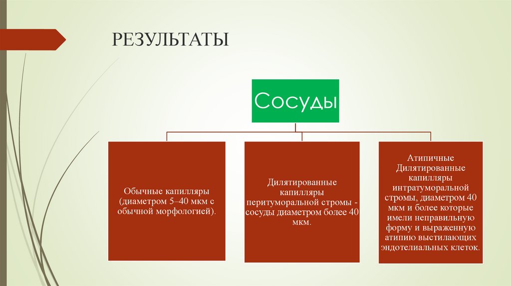 РЕЗУЛЬТАТЫ