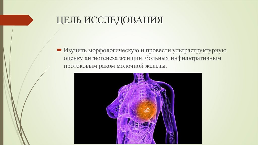ЦЕЛЬ ИССЛЕДОВАНИЯ