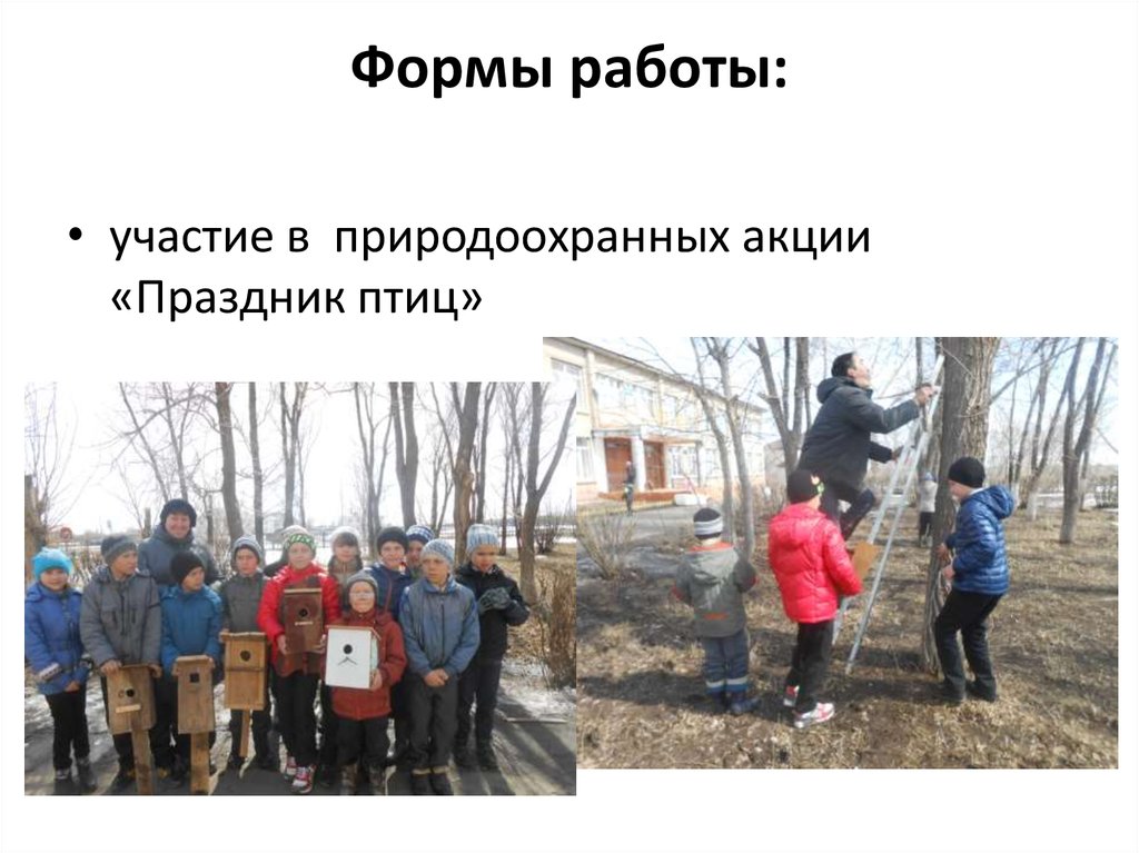 Формы работы: